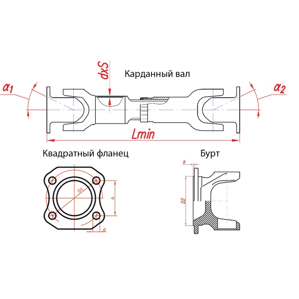 41210049